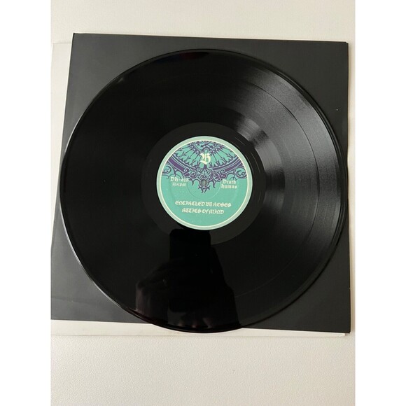 Gates of Dawn Self Titled LP + Insert Death Hymns Records DH-028 EX - Picture 8 of 9